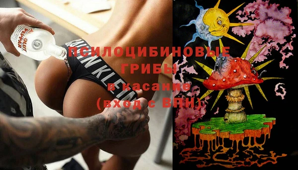 гашиш Богданович
