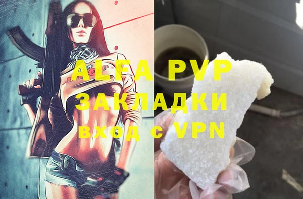 гашиш Богданович